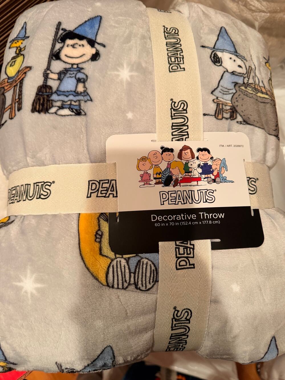 Peanuts Snoopy & Charlie Brown Decorative Throw Blanket – 60” x 70” – Gray